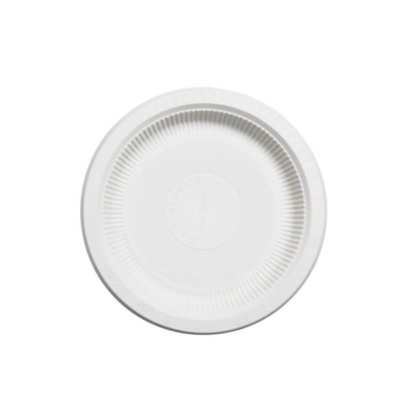 eco_plato17cm